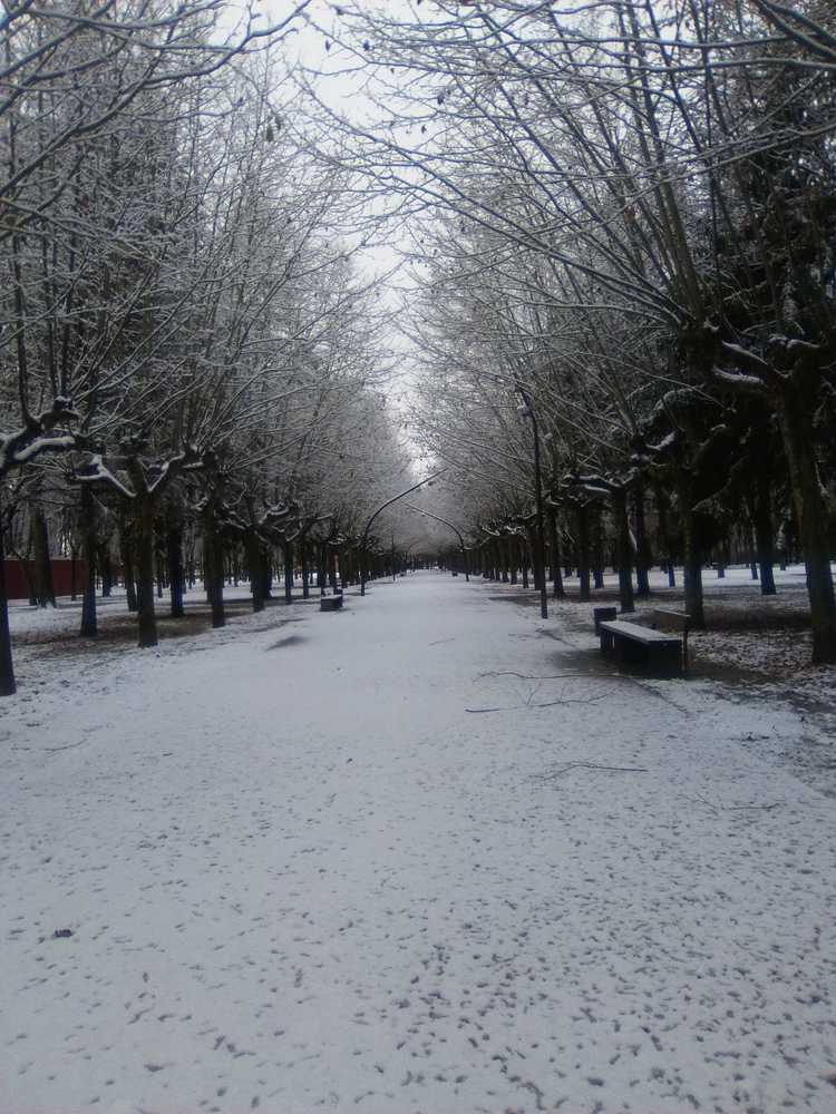 Photograph by Casillas Gloria