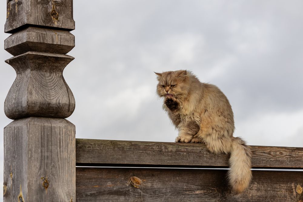 Photograph by Екатерина Якель