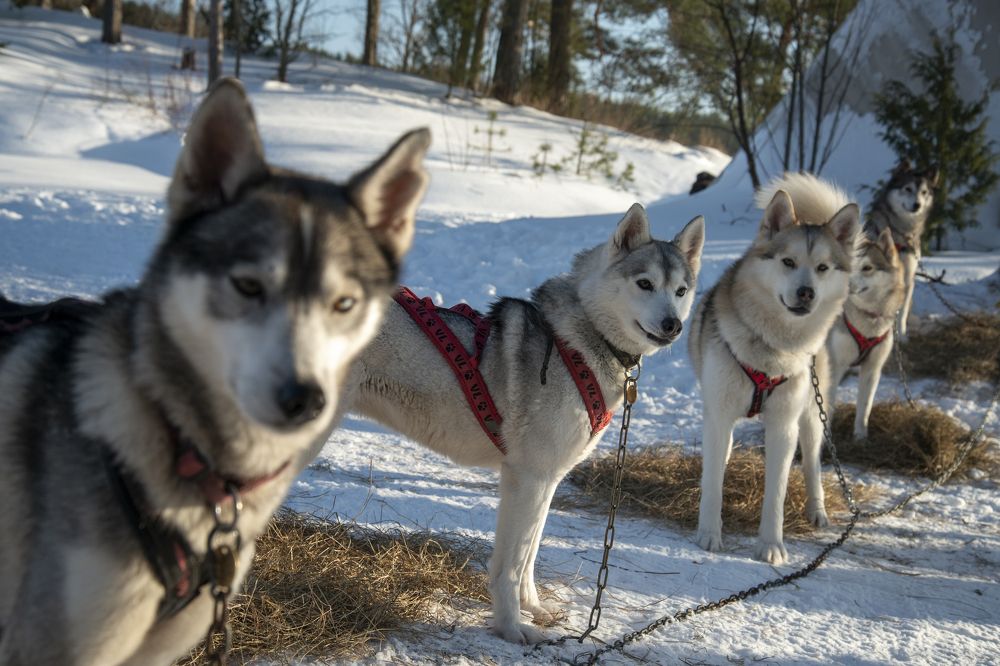 Photograph by Екатерина Якель