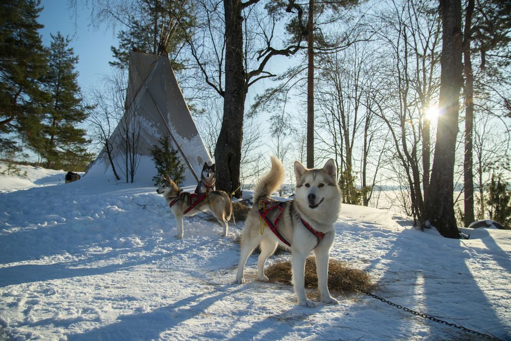 Photograph by Екатерина Якель