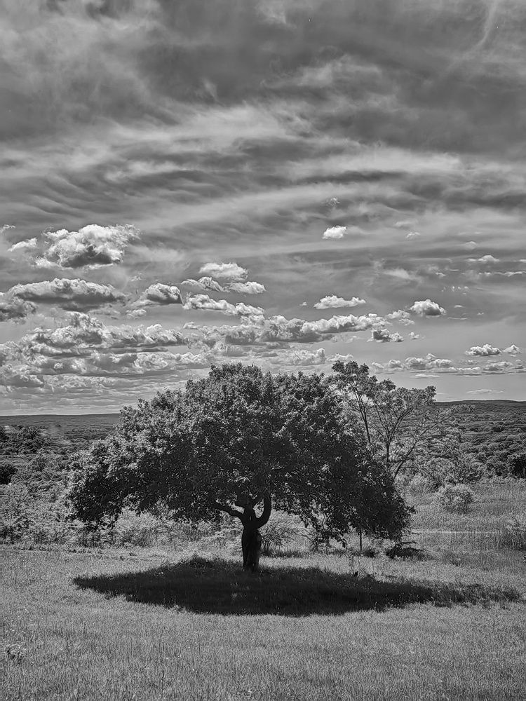 Фотография автора НАТАЛЬЯ СЕВЕР
