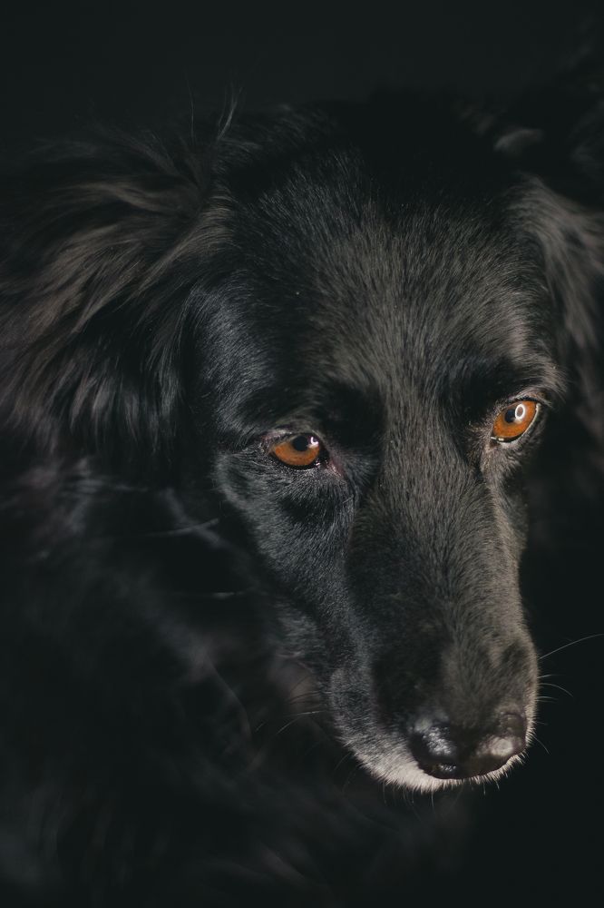 Photograph by Наташа Шибаева