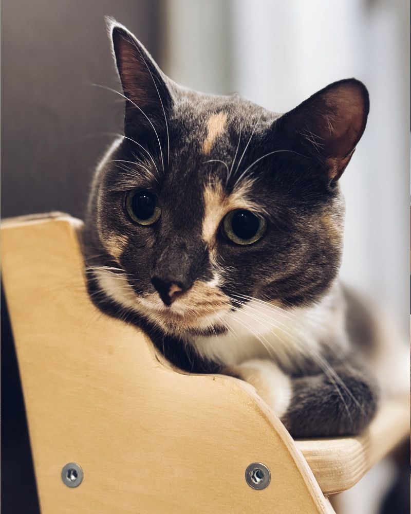 Photograph by Анастасия