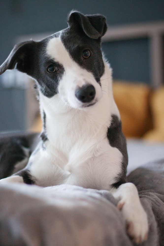 Photograph by Анастасия