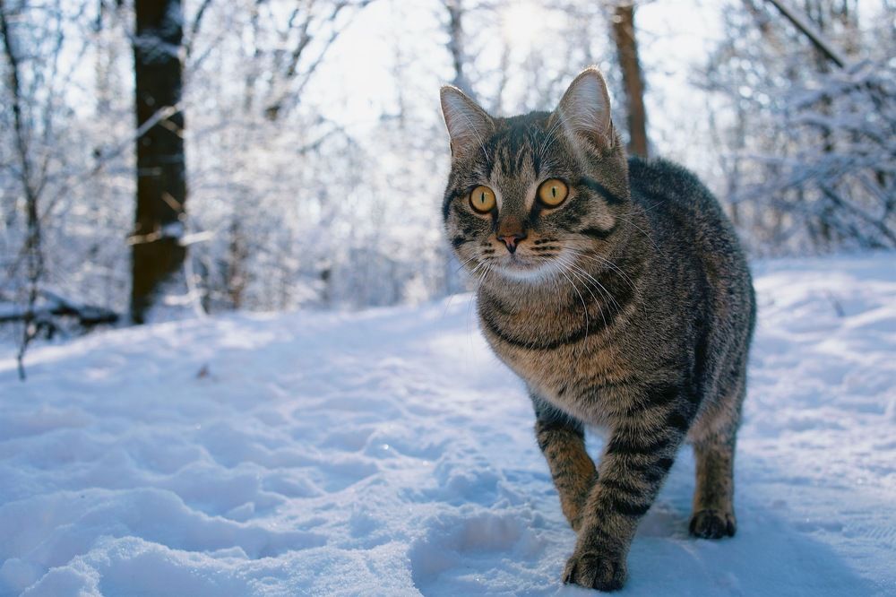 Photograph by Анастасия