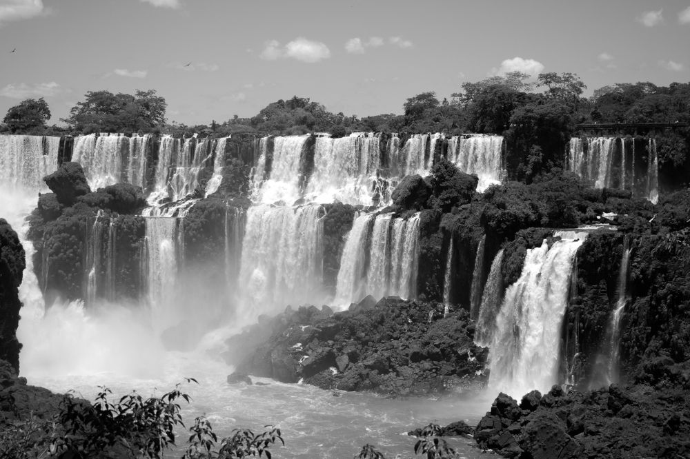 Фотография автора Liliana Cancino Abregu