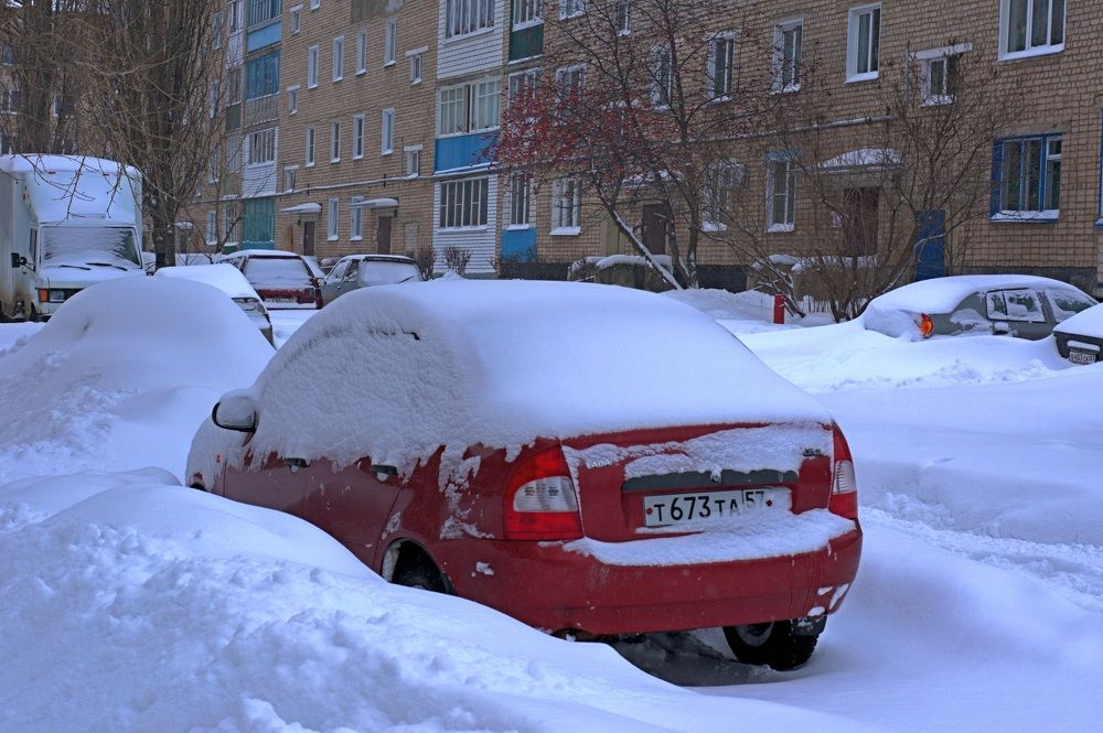 Фотография автора Николай Бологов