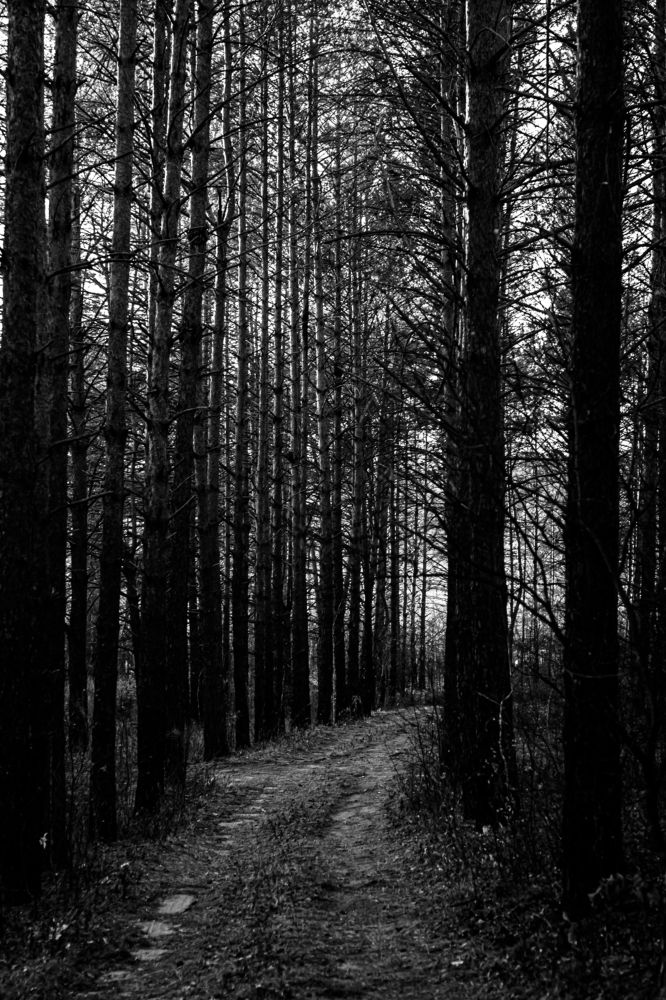 Photograph by Анна Осинцева