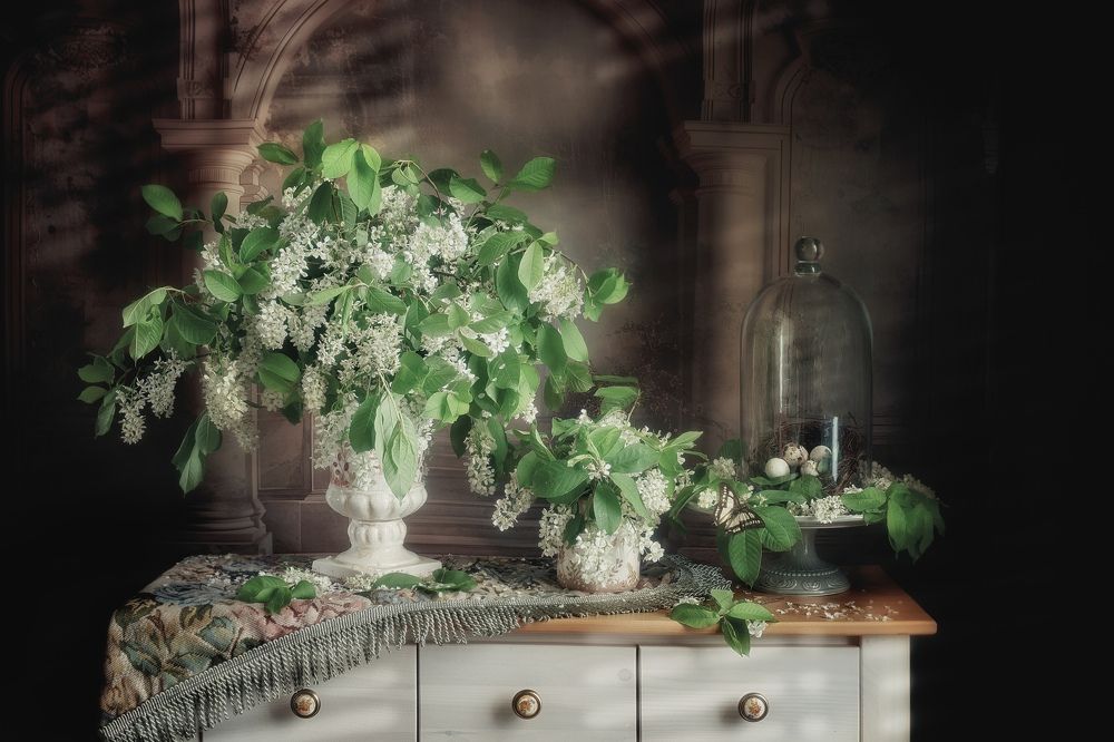 Фотография автора Viktoriya Shamanova