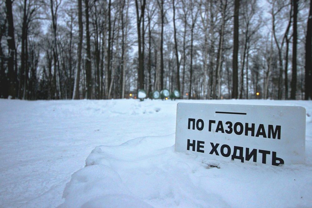 Photograph by Луценко Роман