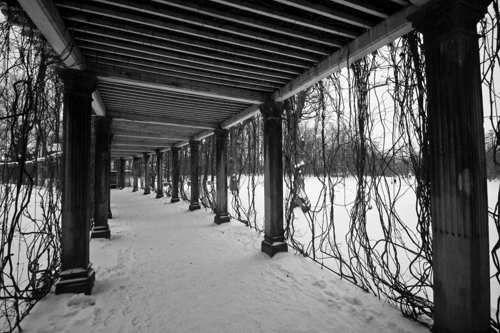 Photograph by Луценко Роман