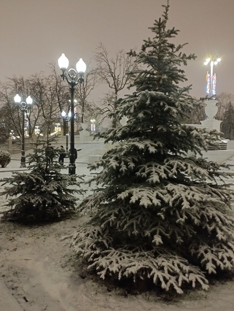 Photograph by Ия Дирко