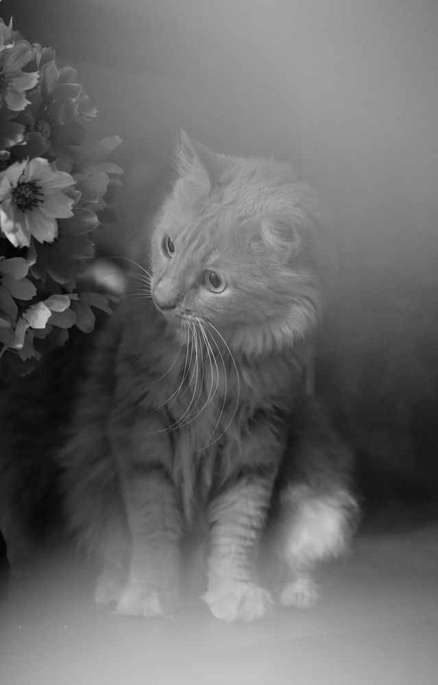 Photograph by Анна Колесниченко