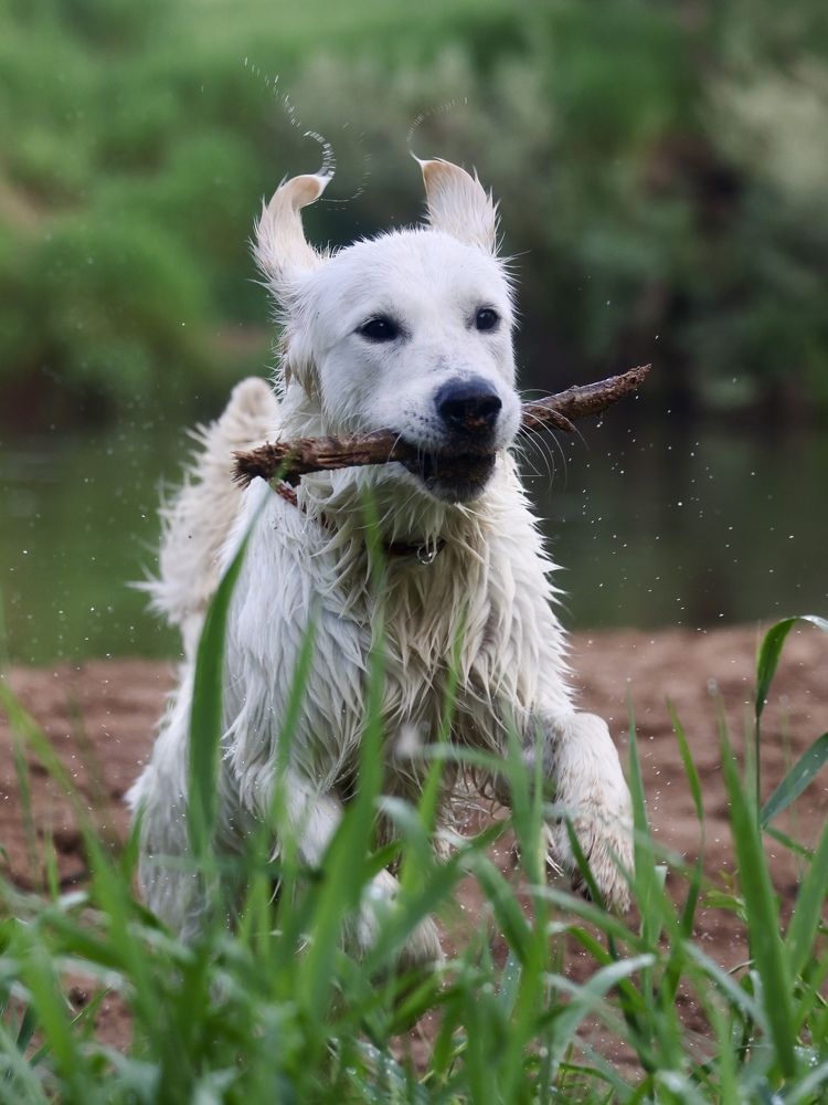 Photograph by Diana Karp