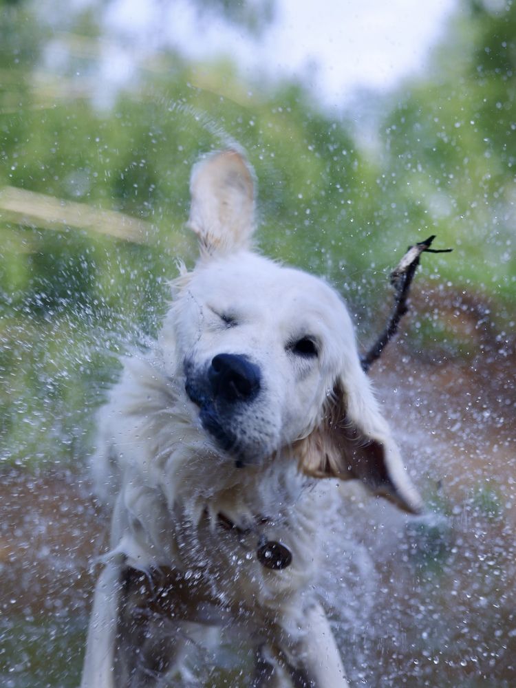 Photograph by Diana Karp