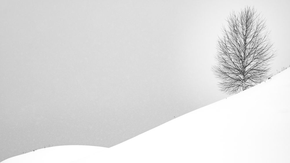 Photograph by Сергей Шерстнев