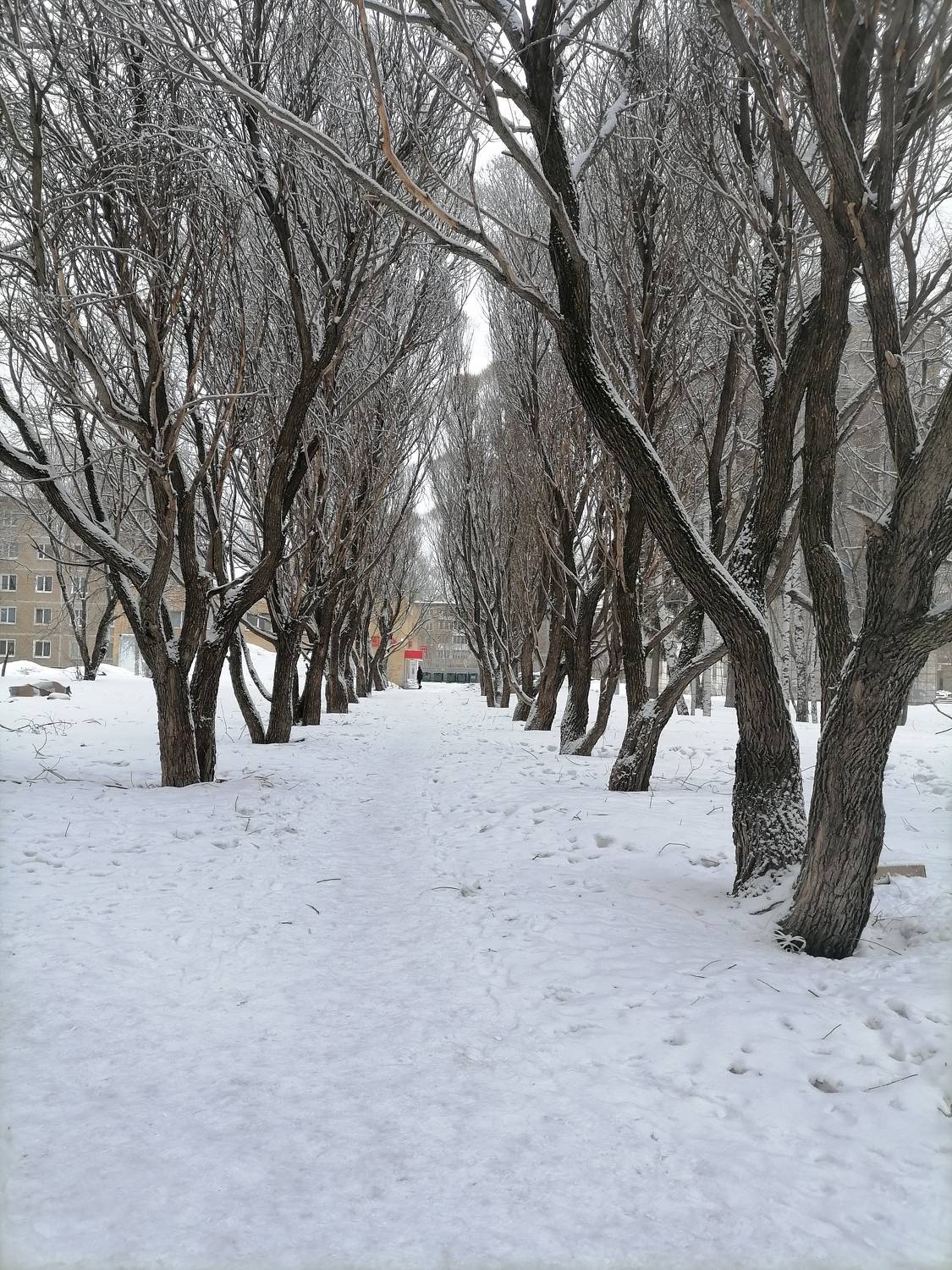 Photo #11622247