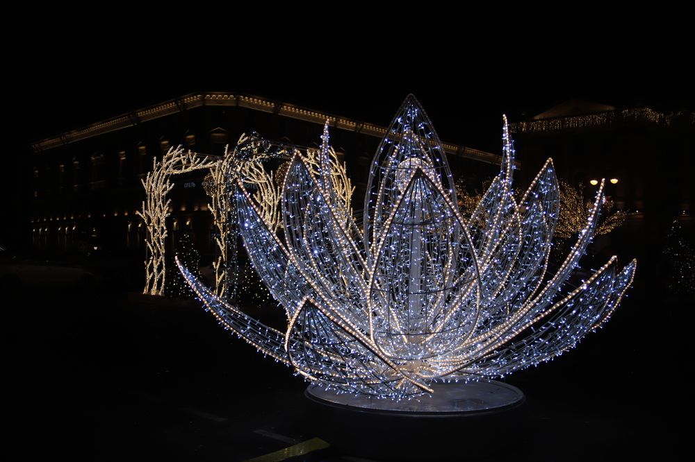 Photograph by Анурова Аля