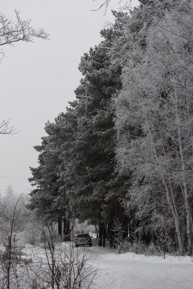 Фотография автора Регина Цыганова