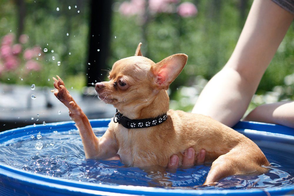 Фотография автора Регина Цыганова