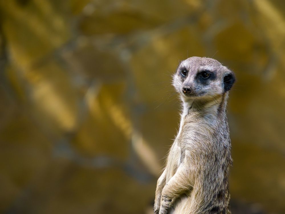 Photograph by Валерий Лунев