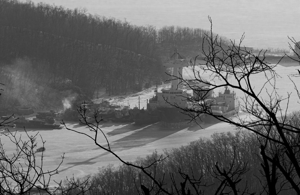 Photograph by Александра Безродная