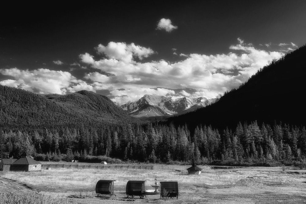 Photograph by Юлия Лушникова