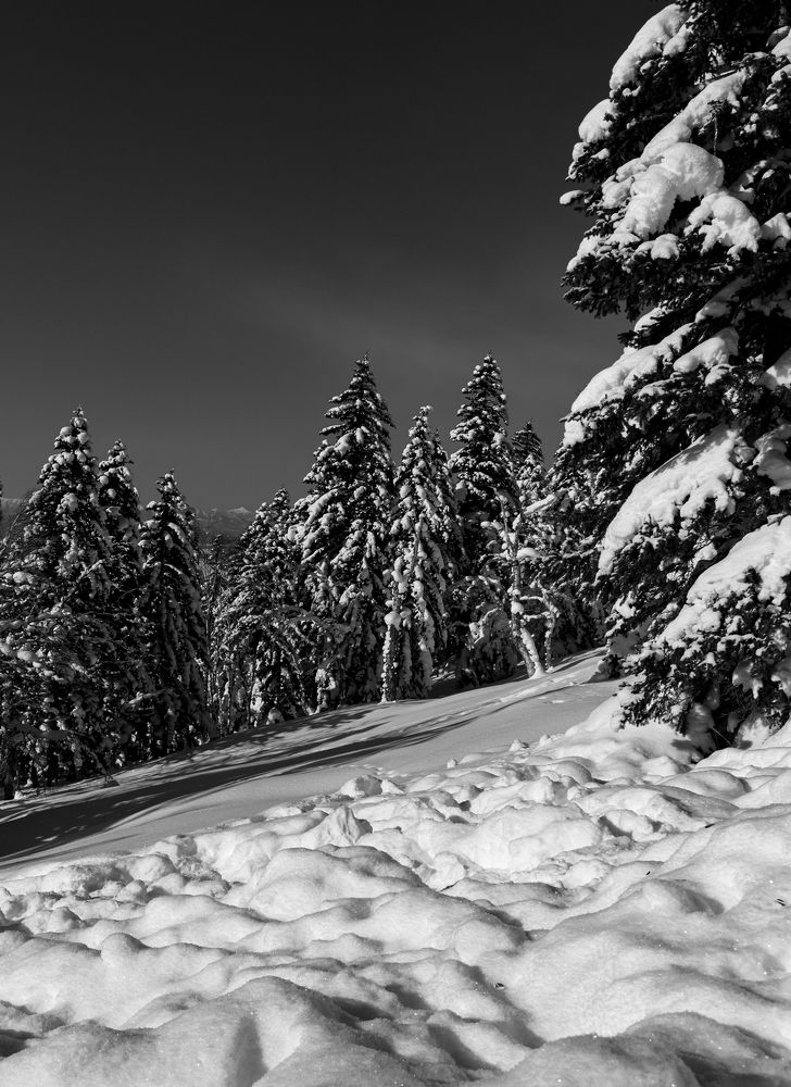 Photograph by Александра Безродная