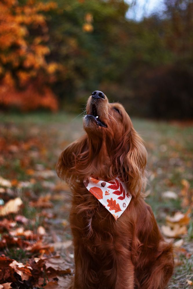 Photograph by Victoria Mogulyan