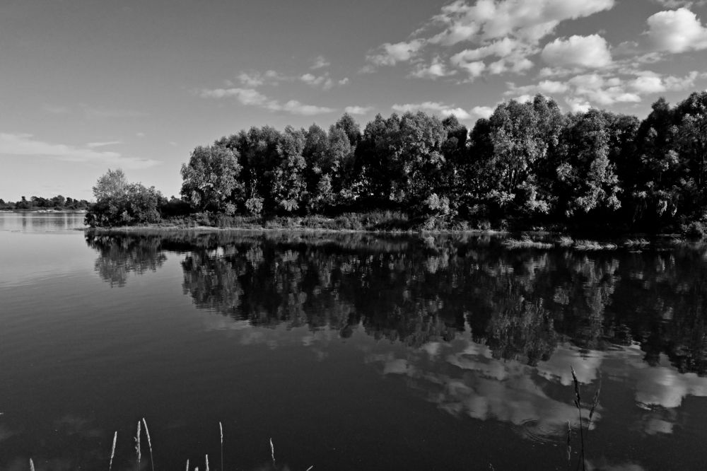 Photograph by Алексей Volg