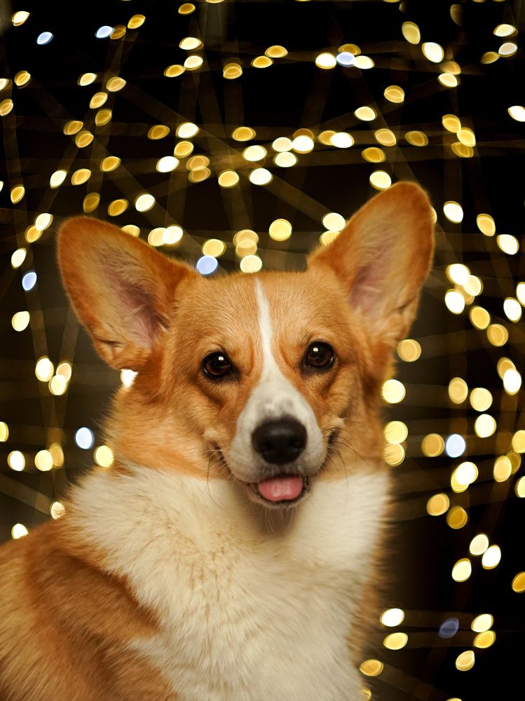 Photograph by Светлана Смирнова