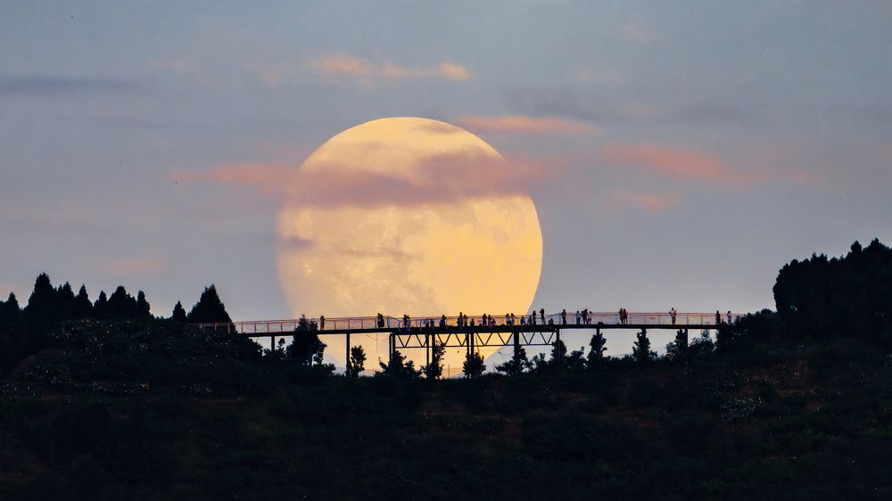 Photograph by 张 翔升