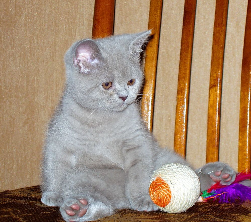 Photograph by Алексей Хазов