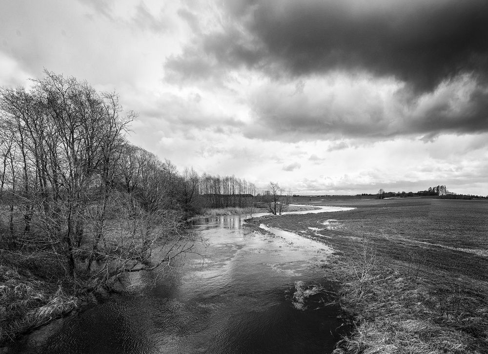 Фотография автора Eugenijus Rauduve