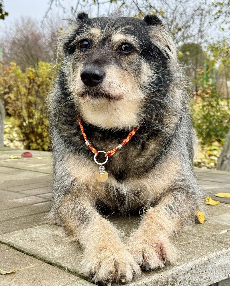 Photograph by Елена Смирнова