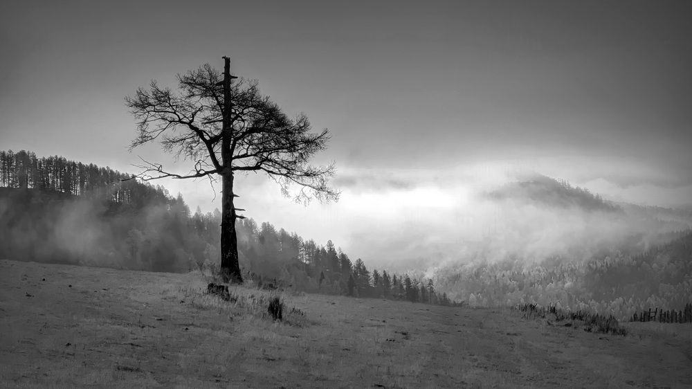 Photograph by Кузнецов Дмитрий