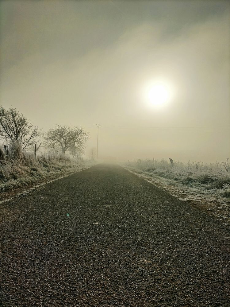 Photo #11622483