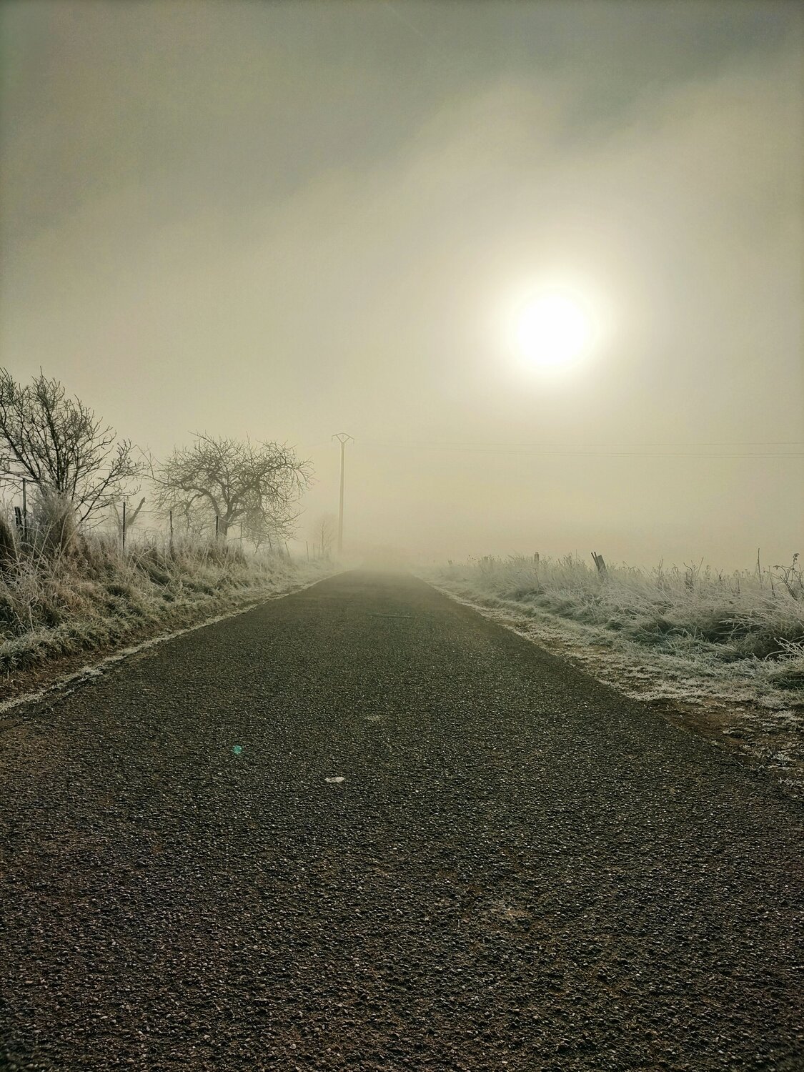 Photo #11622483