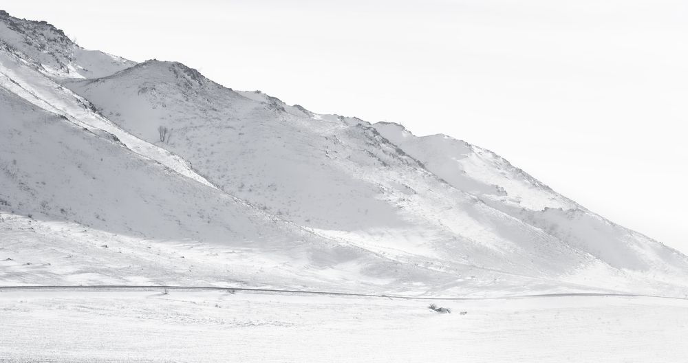 Photograph by Веретельников Дмитрий