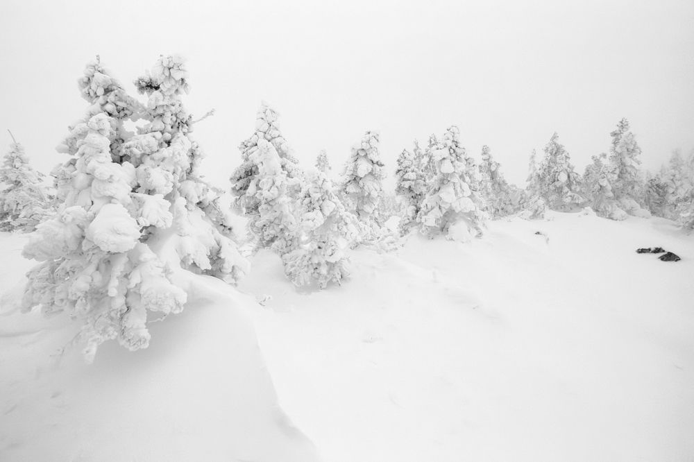 Photograph by Толстоноженко Илья