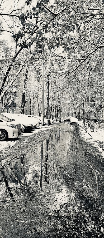 Фотография автора Аркадий Коновалов