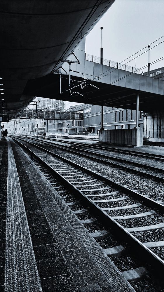 Photograph by Williams W