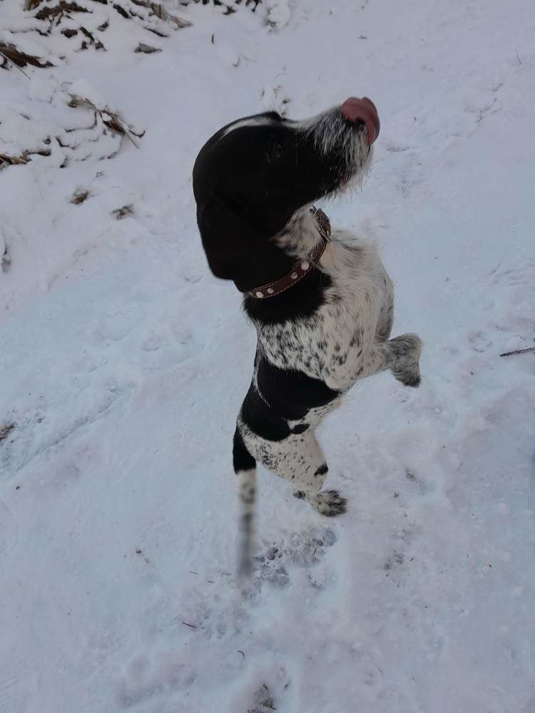 Photograph by Виталий