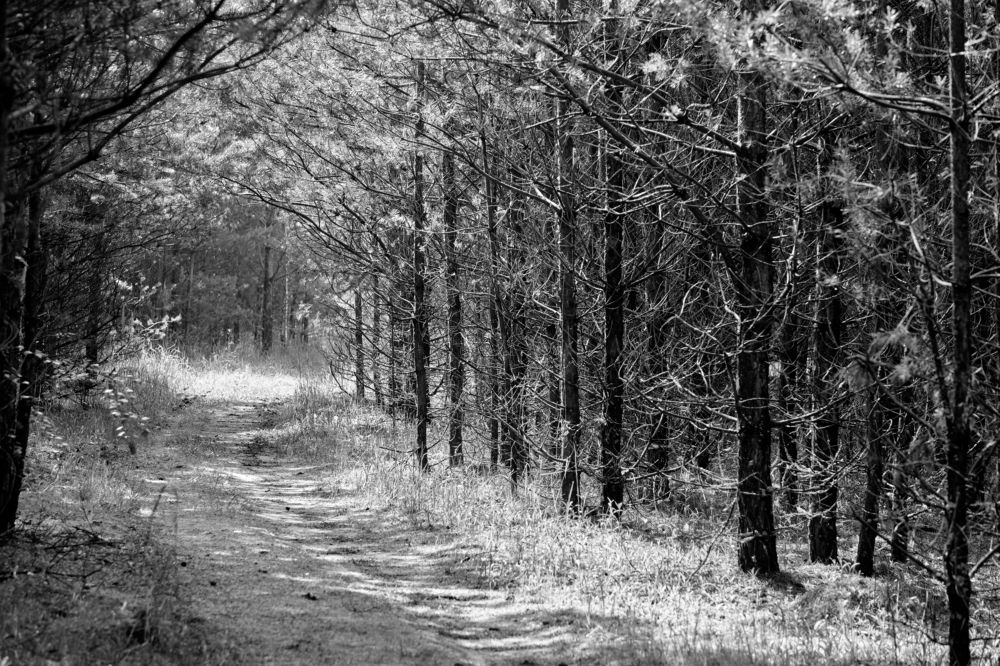 Photograph by Руслан Ибрагимов