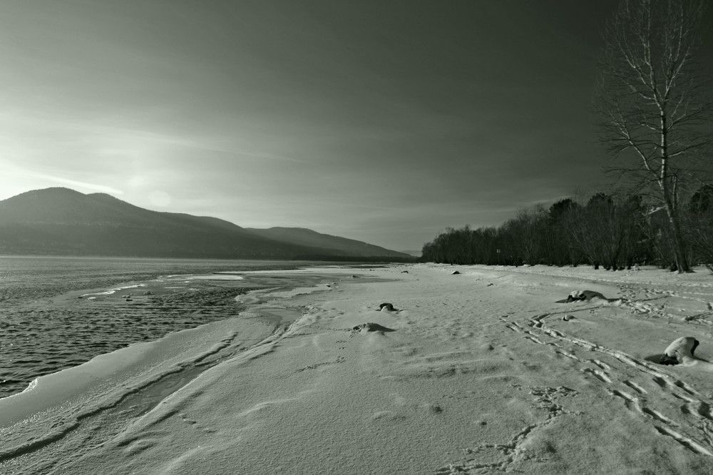 Photograph by Olga Mishenina