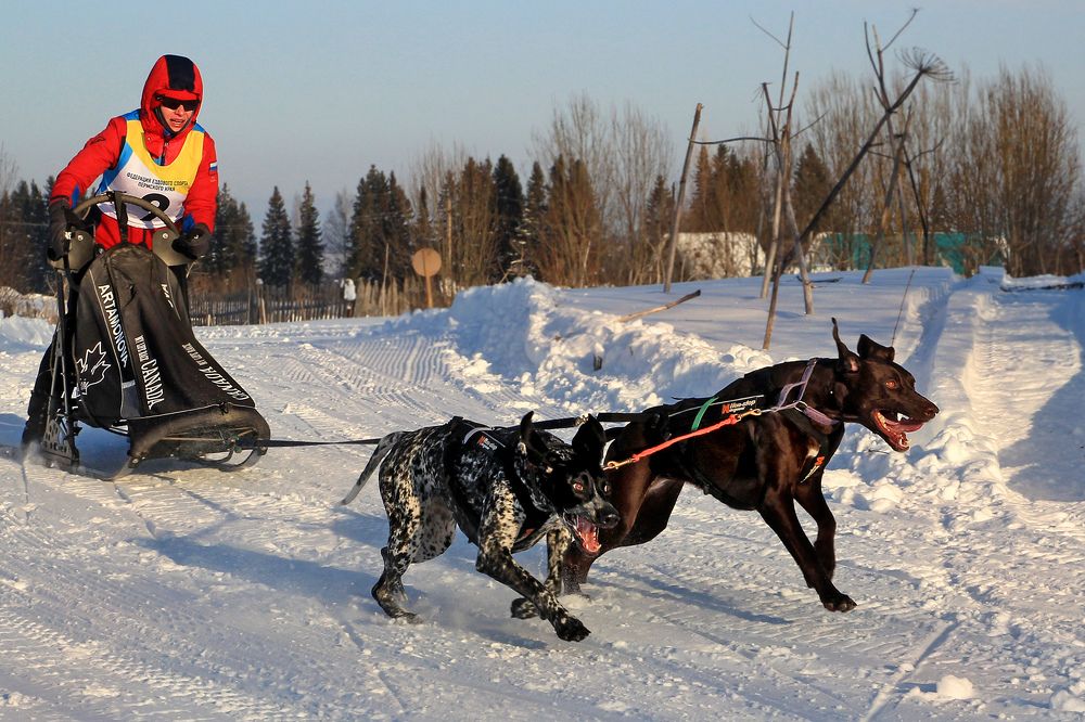 Photograph by Андрей Дудник