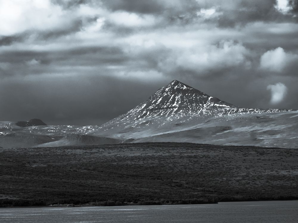 Фотография автора Александр Лютиков