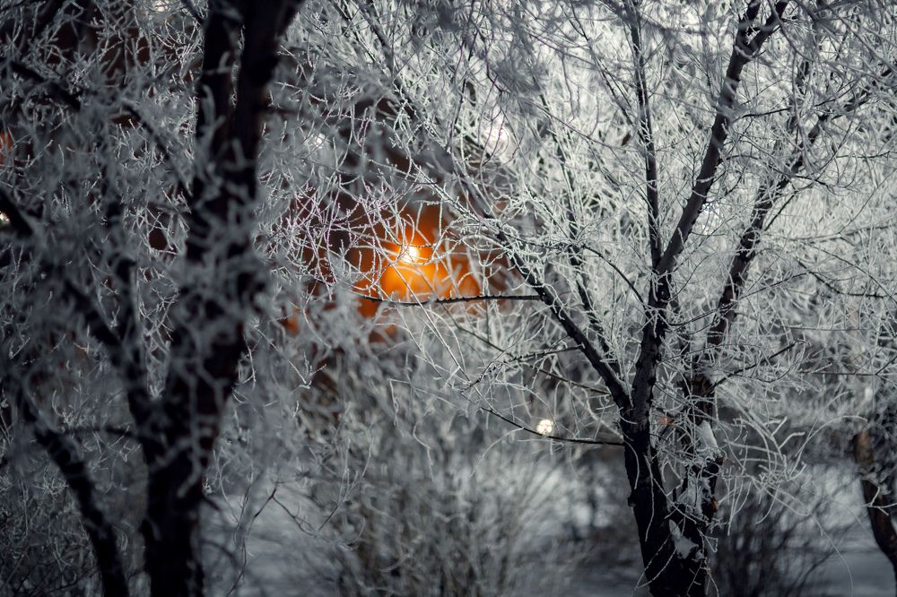 Photograph by Марина Комина