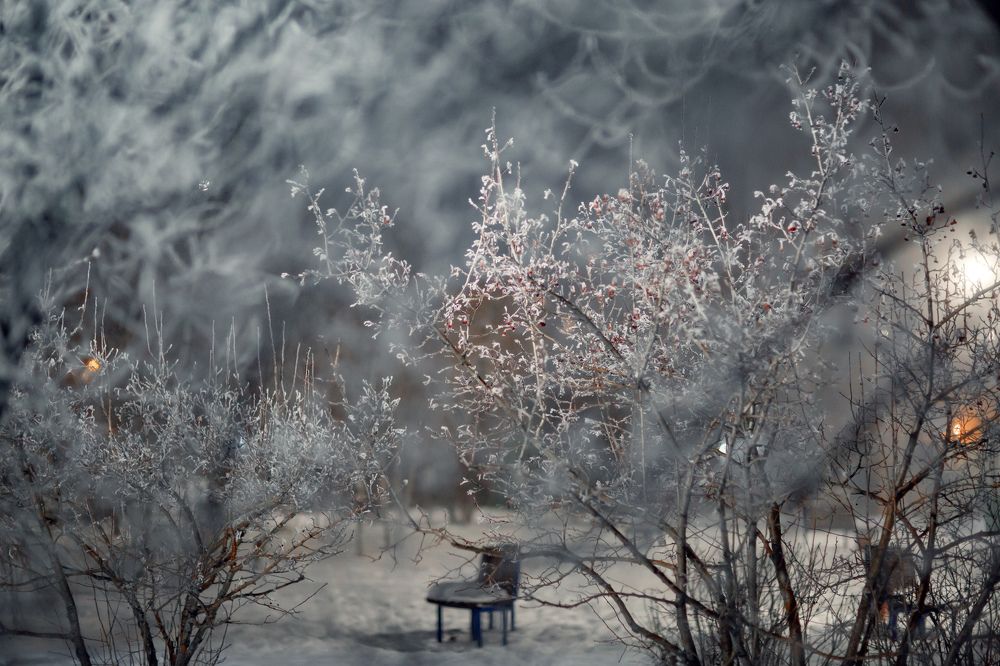 Photograph by Марина Комина