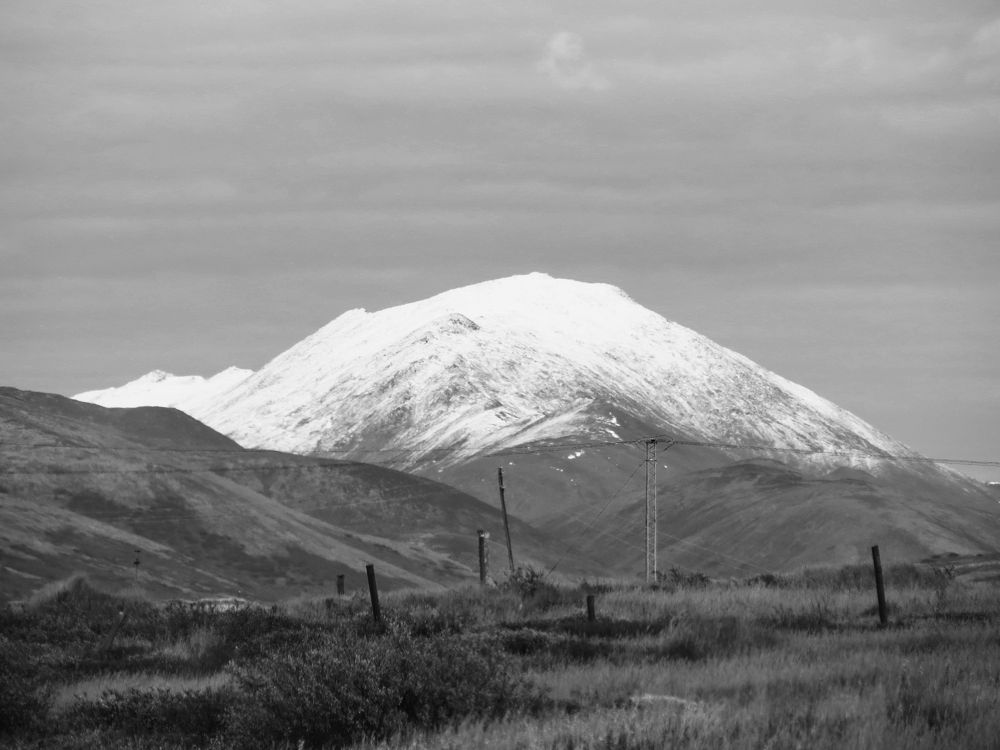 Фотография автора Александр Лютиков